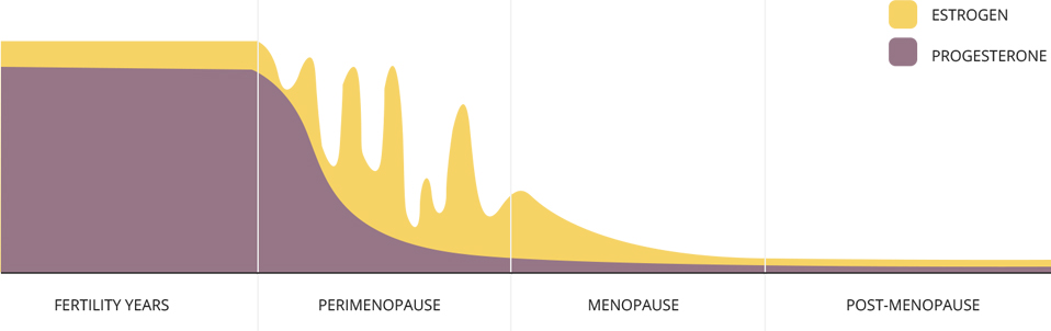 Female hormone balance through the years